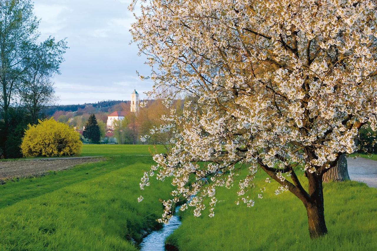 Best Western Aparthotel Birnbachhoehe Bad Birnbach Exterior photo